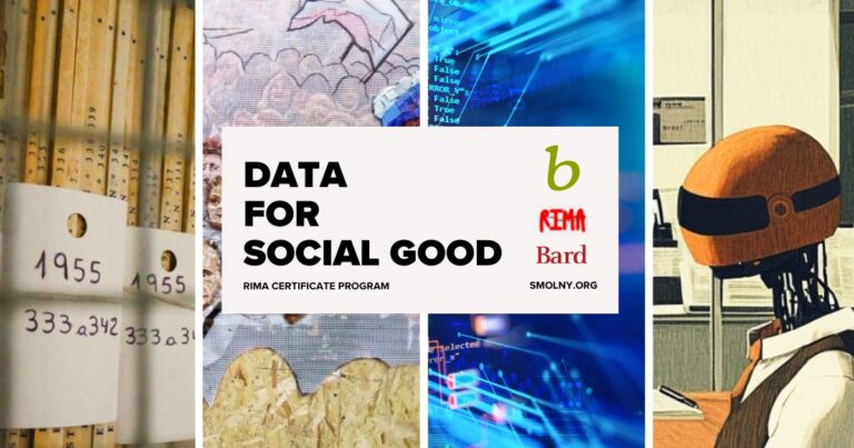 RIMA Data Science for Social Good certificate cover