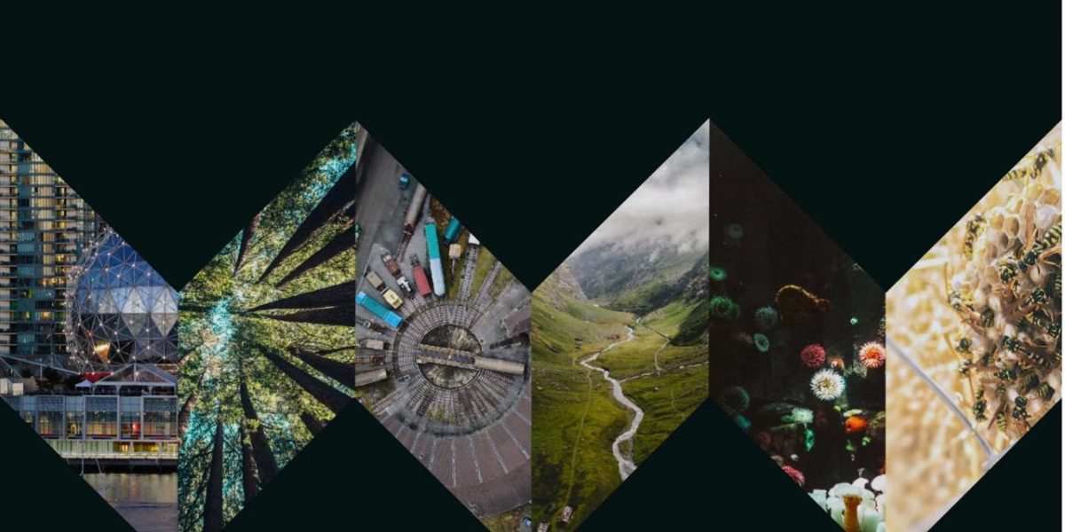 photo_2026-04-13_18-52-28